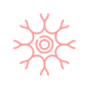 Diagram of nerve structure indicating neural pathways and damage