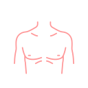 Chest Contour